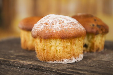 delicious homemade muffin cake dessert cupcake pastry
