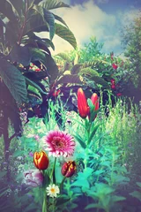 Poster Tropische tuin in de zomer © Rosario Rizzo