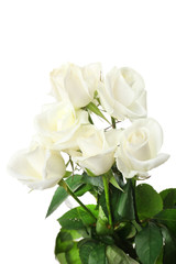 Bouquet of beautiful roses isolated on white
