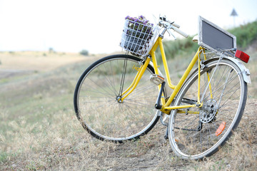 Fototapeta na wymiar Bicycle in meadow during sunset