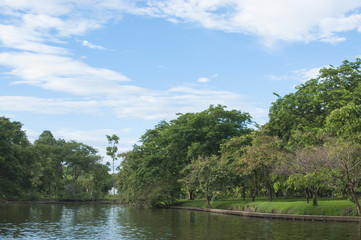 Lake in the summer park