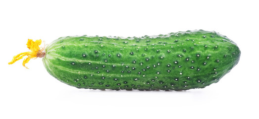 Fresh raw cucumber isolated on white background