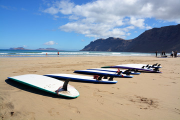 tablas de surf en la playa de famara en la isla de lanzarote