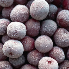 Fototapeta na wymiar Lots of of frozen cherries