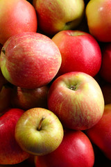 Juicy apples, close-up