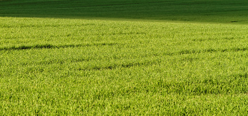 Obraz premium Rural farming