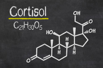 Schiefertafel mit der chemischen Formel von Cortisol - obrazy, fototapety, plakaty
