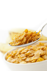 Spoonful of corn flakes