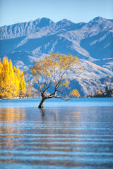Lake Wanaka