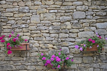 Fototapeta na wymiar stone walland flowers