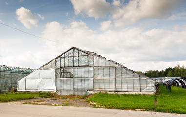 Naklejka na ściany i meble greenhouse vegetable production