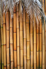 Bamboo wall