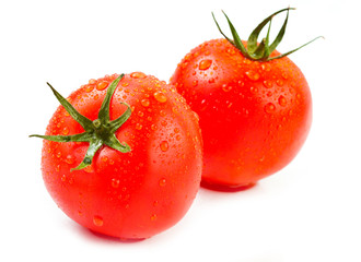 Frische tomaten