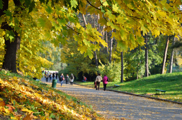 Autumn in the botanic garden