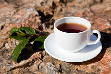 Cup on big stone