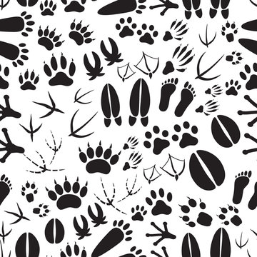 animal footprints black and white seamless pattern eps10