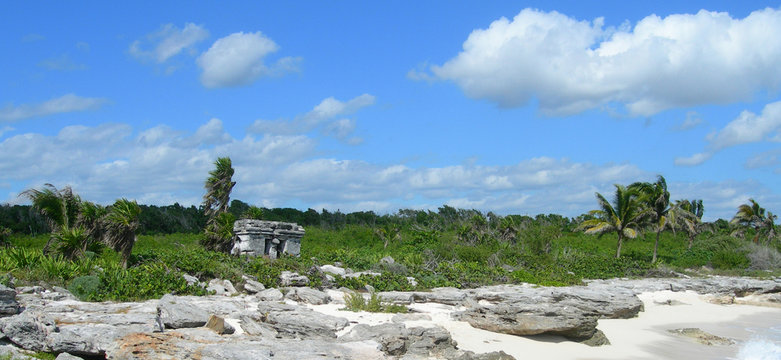 Tropical vegetation on a rocky Caribbean beach in Mexico