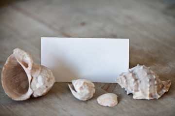 Blank Place Card Amongst Seashells