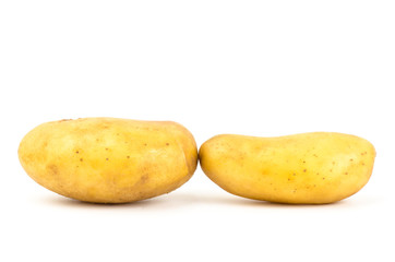 Potato
