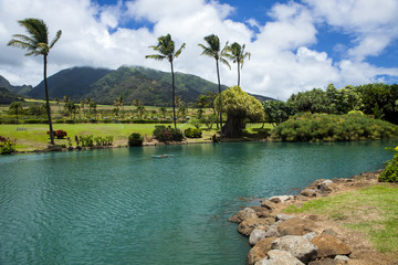 Fototapeta na wymiar Hawaiian Lake