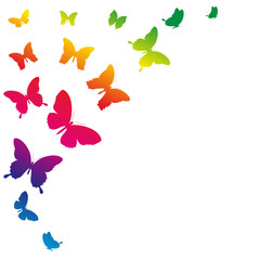 butterflies design