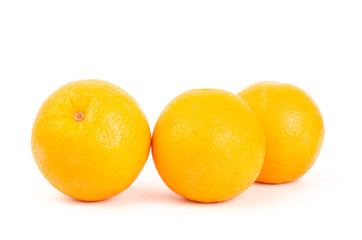 Navel orange fruit