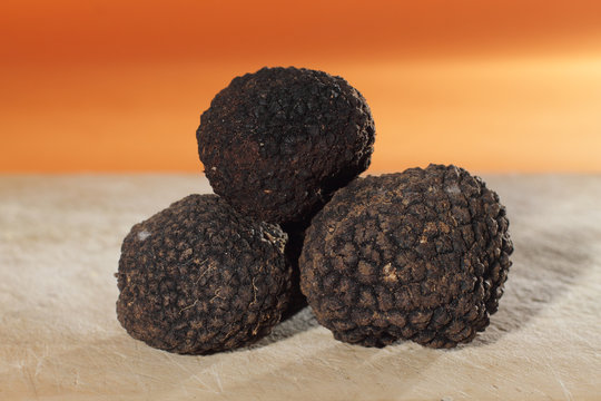 truffes noires du Périgord