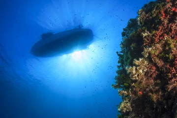 Foto op Plexiglas Boat above underwater reef © Richard Carey