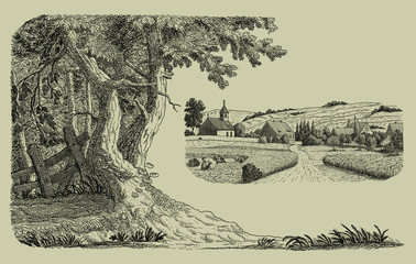 Village illustration