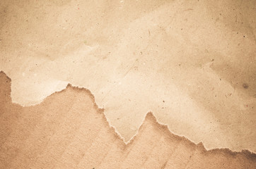 a sheet of torn paper