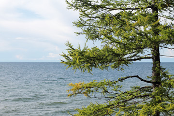le lac Ba&iuml;kal en &eacute;t&eacute;