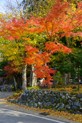 Historic Village of Shirakawa-go in autumn　Shirakawa-Hachiman sh