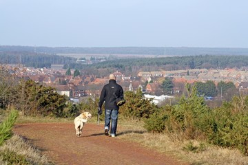 a man walking his dogs