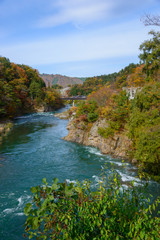 Fototapeta na wymiar Historic Village of Shirakawa-go in autumn, Landscape along Shok