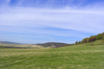 Fototapeta premium Spring landscape