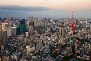 Tokyo city view visible on the horizon