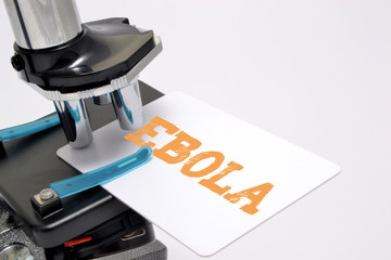 Microscope analyzing the ebola virus