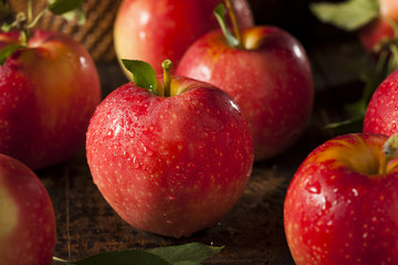 Raw Organic Red Gala Apples