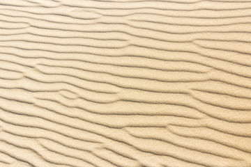Beach sand