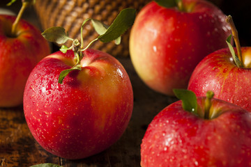 Raw Organic Red Gala Apples