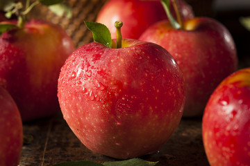 Raw Organic Red Gala Apples