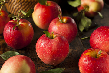 Raw Organic Red Gala Apples