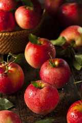 Raw Organic Red Gala Apples