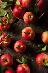 Raw Organic Red Gala Apples