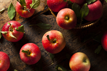 Raw Organic Red Gala Apples