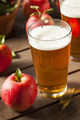 Hard Apple Cider Ale