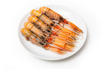Langoustine  (Nephrops norvegicus) isolated on a white studio ba