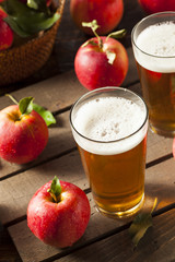 Hard Apple Cider Ale