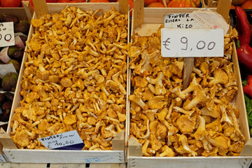 Pfifferlinge