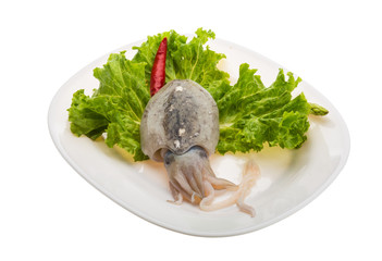 Raw cuttlefish